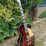 Ibanez lubová kytara 