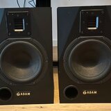 Adam audio P11