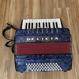 Delicia Junior IV