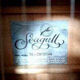 Elektroakustika SEAGULL S6 + CW Cedar