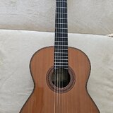 Prodám celomasivní klasickou kytaru Alhambra 7 P Classic