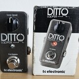 TC Electronic Ditto Looper