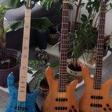 Spector bass