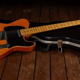 Peter Jurkovič telecaster + kufr