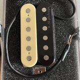 R. M. pickups F10 - Naked Lynch (zebra)