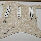 Seymour Duncan Dave Murray
