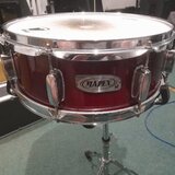 Snare Mapex