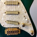 Picguard Cort S Series