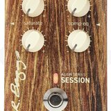L.R. Baggs Align Session