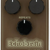 TC Electronic Echobrain Analog Delay