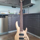 Prodám 5str.baskytaru ESP LTD B-205SM NS v záruce