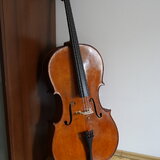 Violoncello
