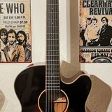 TANGLEWOOD "Winterleaf TW4 SJ AVB" Elektroakustická Kytara