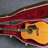 Maton TE1