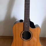 Dowina elektroakustická kytara / Fishman