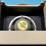Celestion G10 Greenback