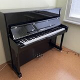 Piano se silent systémem,Ritmüller 122,koupě 11/25