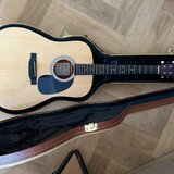 Martin D-12E + Razzor Woodline Dreadnought Tweed