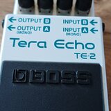 Boss Tera Echo TE2