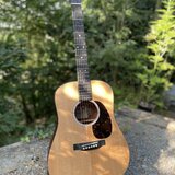 Martin DJr + Fishman Matrix 