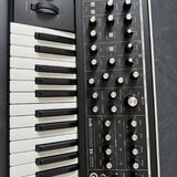 Moog Subsequent 25