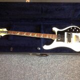 Prodam RICKENBACKER 1974" s kufrem.