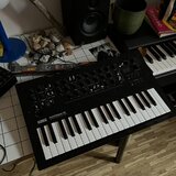 Korg Minilogue XD