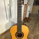 Prodám akustickou kytaru Martinez MC-128S