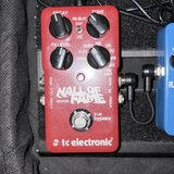 TC ELETRONIC HALL OF FAME