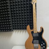 Peavey T60