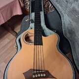 Warwick electro-acoustic bass