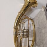 Baskřídlovka Dimavery