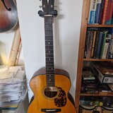 Cort L300V-F Nat