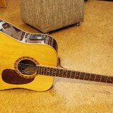 ASHTON Dreadnought akustické kytara