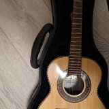 Professional Acoustic Cavaco Rozini RC15 + Hard Case