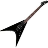 ESP V (Starý model)