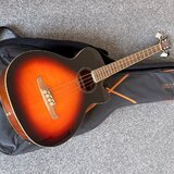Fender FA-450 CE