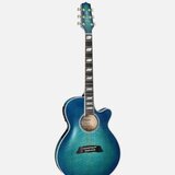 Takamine Thinline