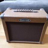 custom siena 35