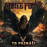 Hledáme baskytaristu (rock, autorská tvorba)