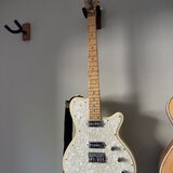Godin Radiator