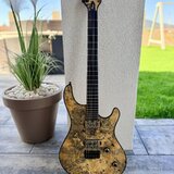 Mayones Regius 6 – Buckeye Burl / BKP Aftermath / CUSTOM