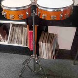 Timbales