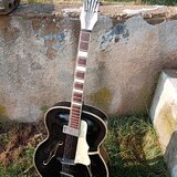 Archtop Rodebald Hoyer Samba