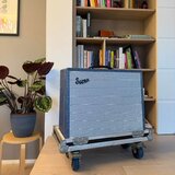 Supro Thunderbolt 6420
