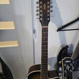 Elektroakustika Ibanez 12 strunna