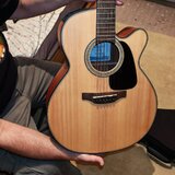 Takamine 