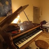 Křídlo/klavír (Vídeň) na prodej