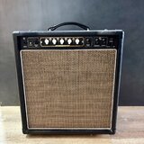 Randall RM 20 s modifikacemi + Salvation Audio Matchvox