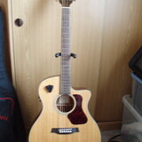 Walden CS550CE Stage Thinline